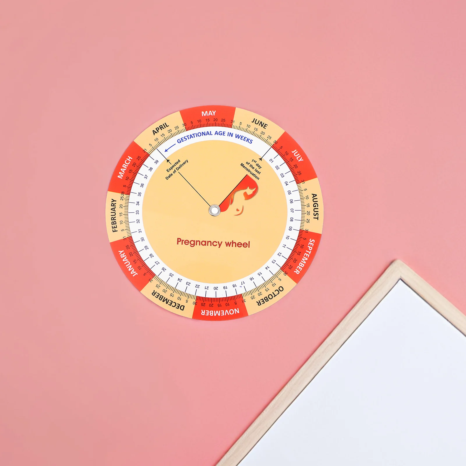 2Pcs Colorful Pregnancy Wheel Fetal Development Chart Detailed Tracker for Expectant Mothers Pregnancy Journal