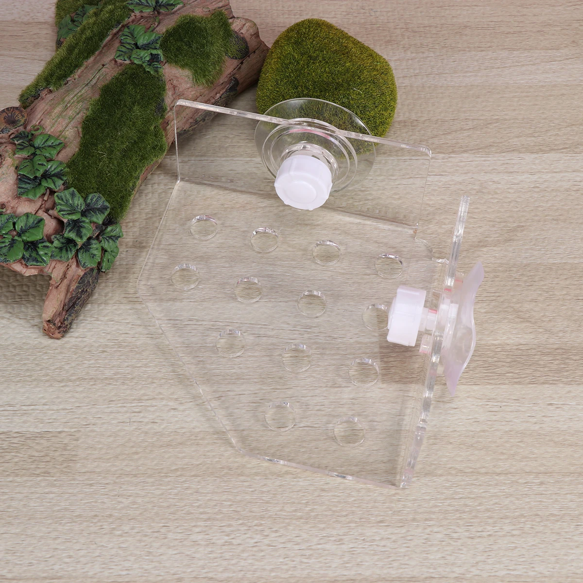 

Coral Rack Bracket Acrylic Suction Cup Durable Marine Source Aquarium Coral Plug Mount Fish Tank Accessories