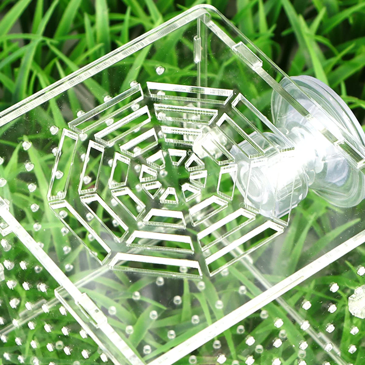 

Fish Breeding Box 10X10X10Cm 2Mm Round Hole Suction Cup Adjustable Transparent Acrylic Aquarium Isolation Tank For Fry Shrimp