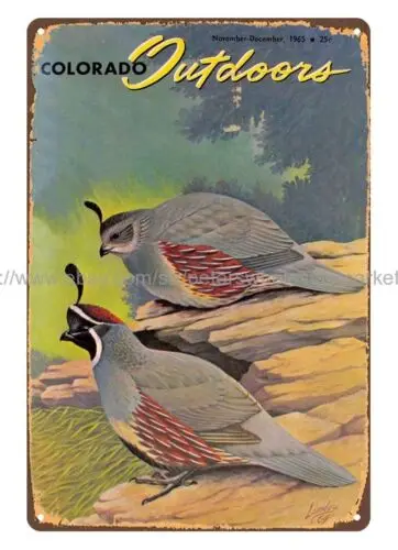 restaurant pub to wall art 1965 Colorado Outdoor Gambel's Quail metal tin sign