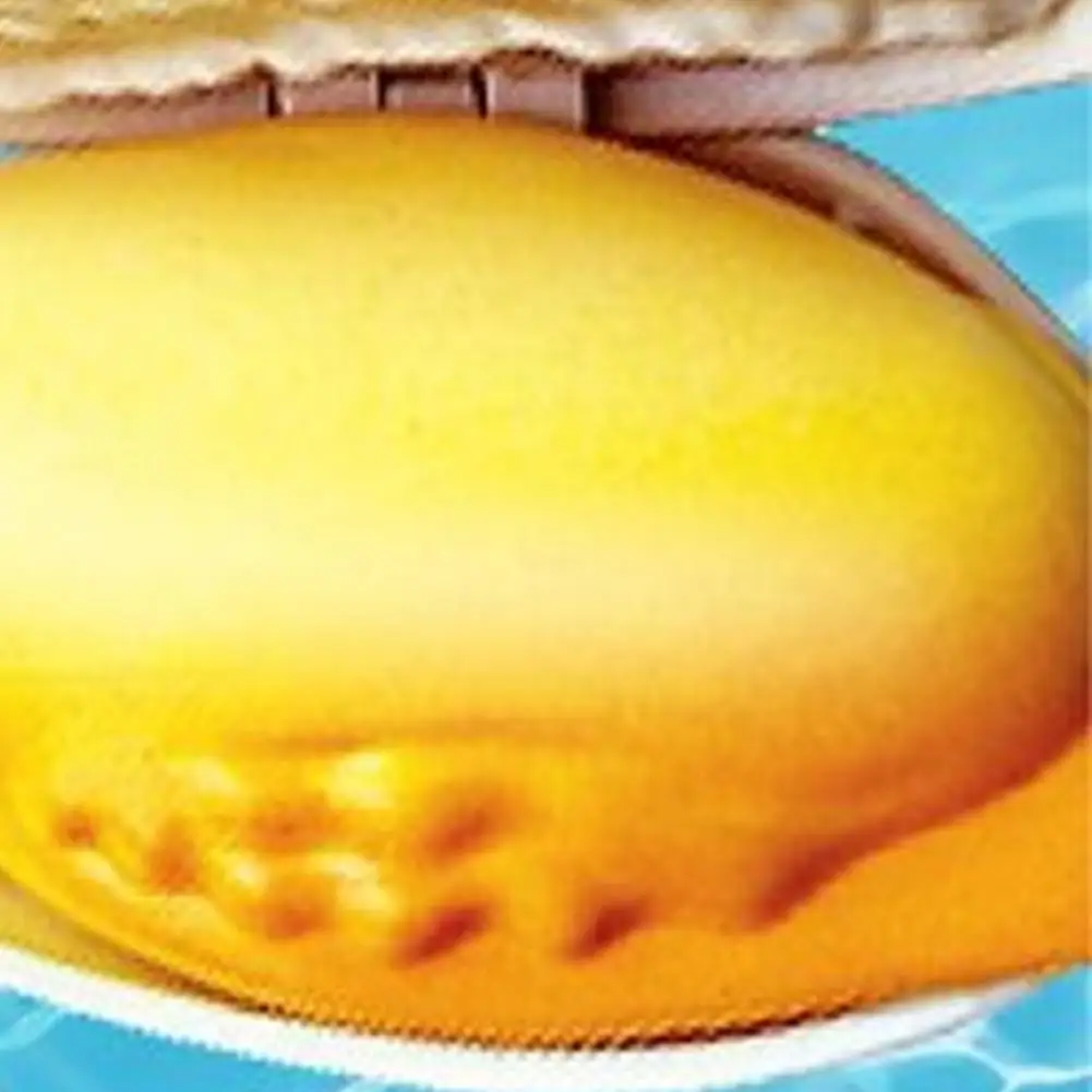 1Pc Splash Prank Toy Glue Water Play Toy Nowość w kształcie muszli Zabawka w sprayu dla dorosłych Pranks Letnie imprezy plażowe dla przyjaciół