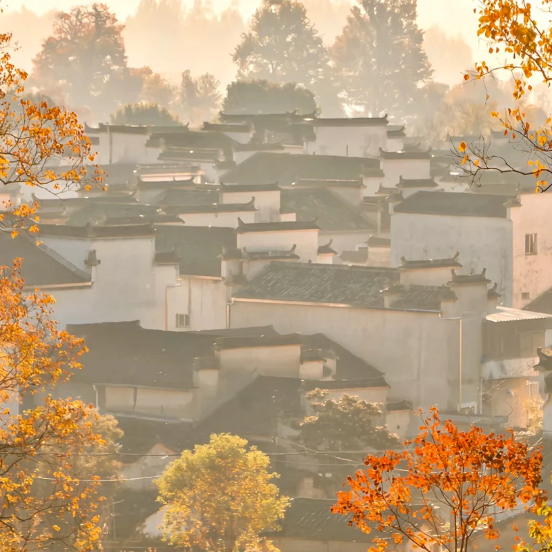 CADDX Walksnail Avatar HD-bril L-1920x1080 4,5 inch 4 km 9-assige hoofdtracking H.265 5.8G FPV-bril voor RC-auto's Vast - Vleugel