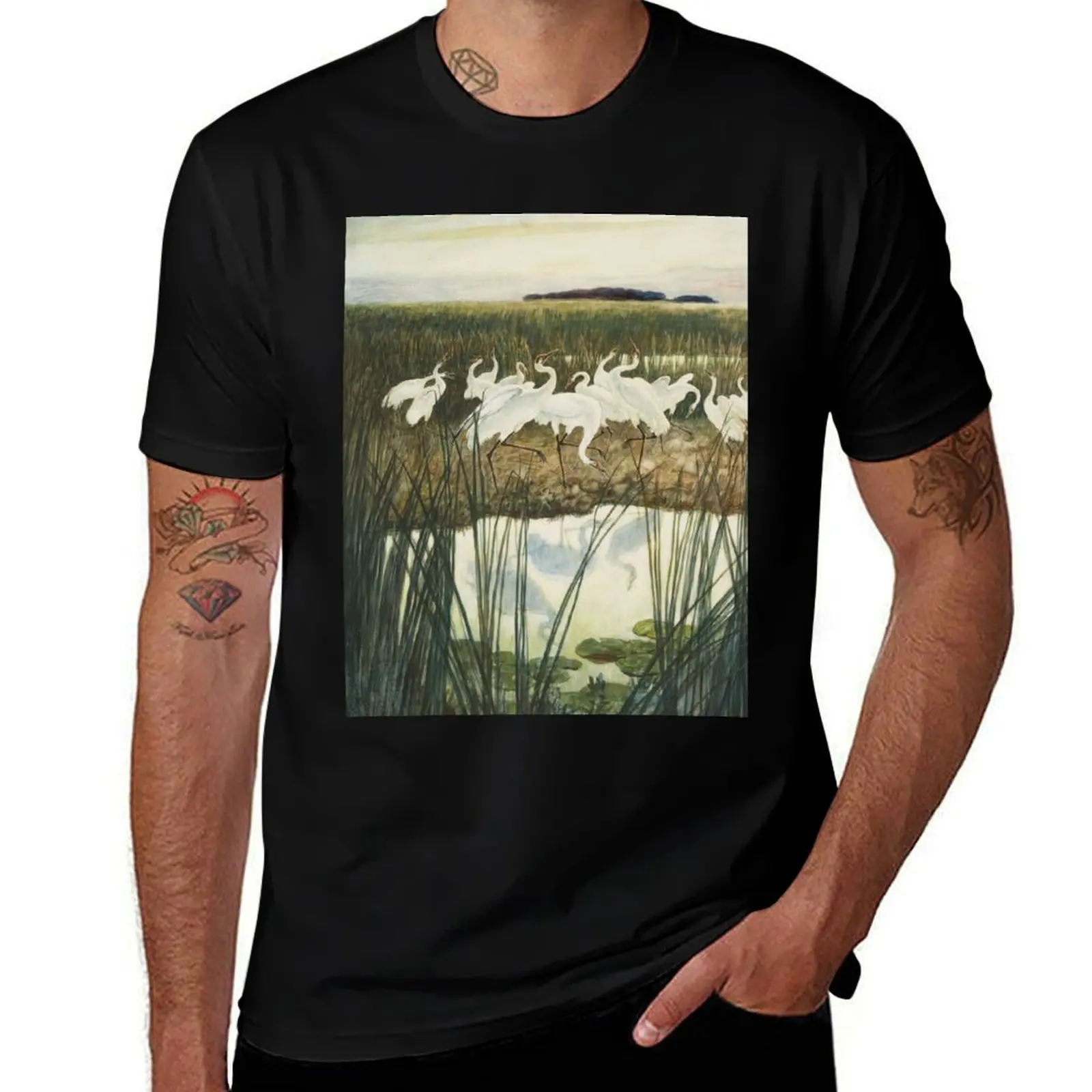 

N.C. Wyeth. Dance of the whooping cranes T-Shirt cute tops anime tshirt quick drying men t shirt