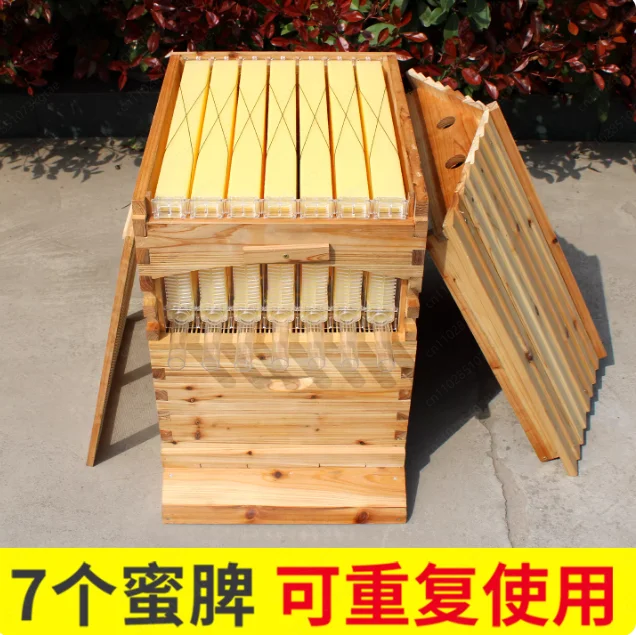 Self-Flowing Honey Bee Hive - Cedarwood Wax-Treated with Automatic Harvesting System, Complete Beekeeping Set