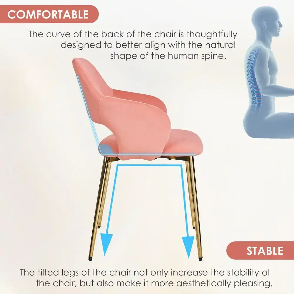 Elegant Pink Velvet Dining Chairs with Gold Metal Legs - Modern Upholstered Dining Room Chairs, (Set of 2)