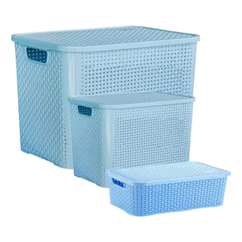 

3 Organizing Rattan Boxes 70, 25 E 10 Litres C/lid Boxes, Boxes and Baskets Decorative Boxes