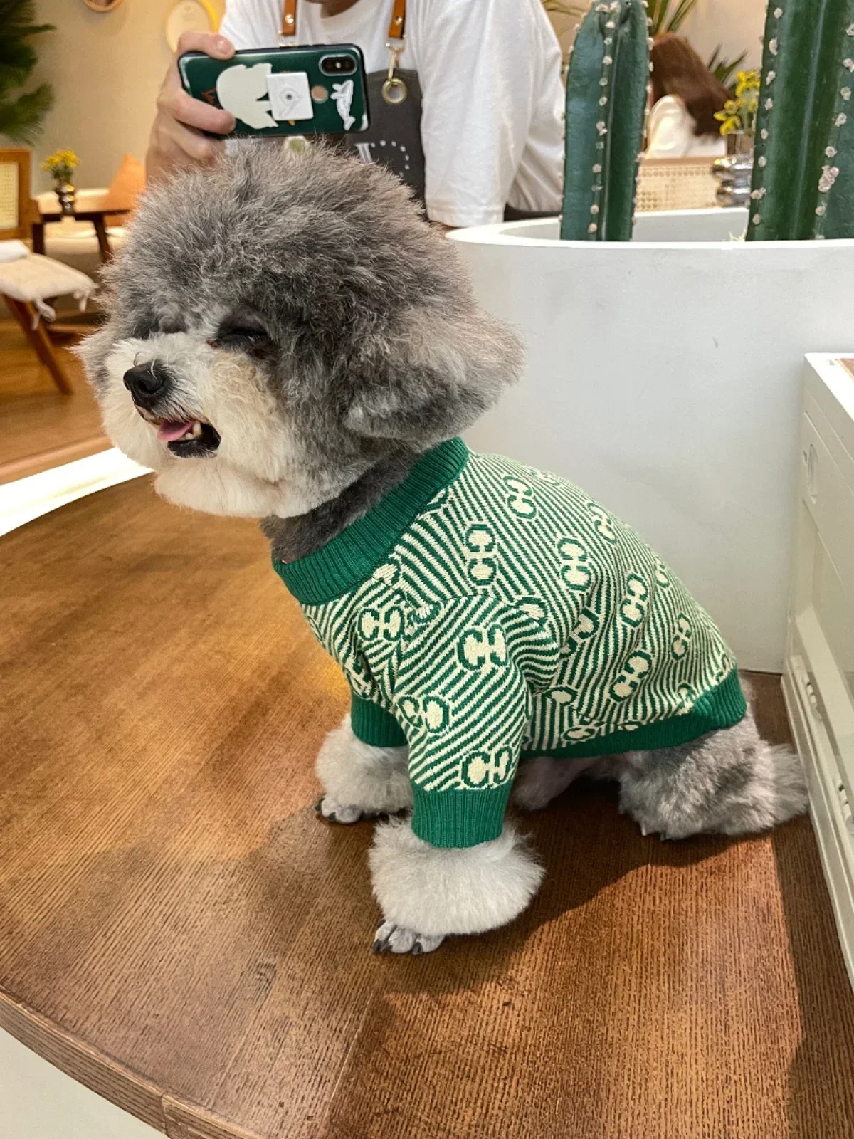 Pet Internet Celebrity Clothes Dog Cat Teddy Pomeranian Corgi Schnauzer Spring and Autumn Warm Pullover Sweater