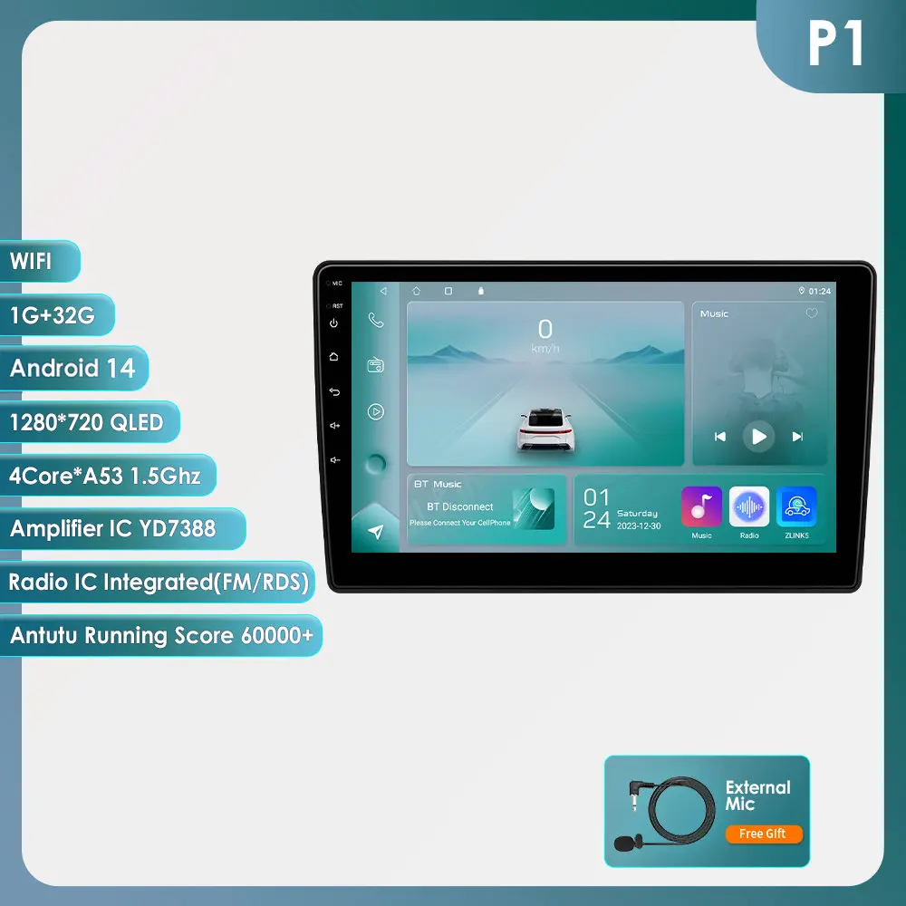 Variant: P1 (4Core 1G 32G)