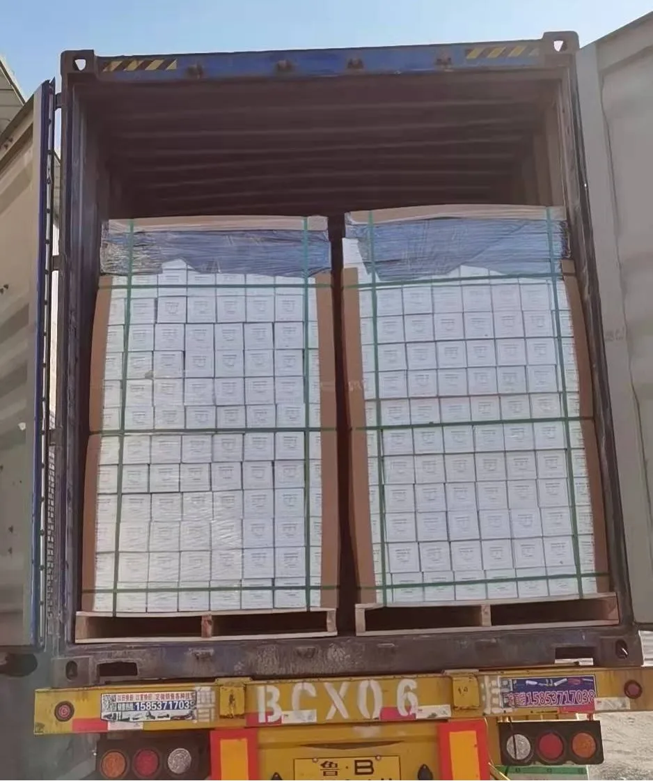 Headlight -LGY Advanced TPU Headlight Protector - Self - Healing Technology, Hydrophobic Surface, UV - Resistant