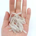 XZ001 10pcs WHITE