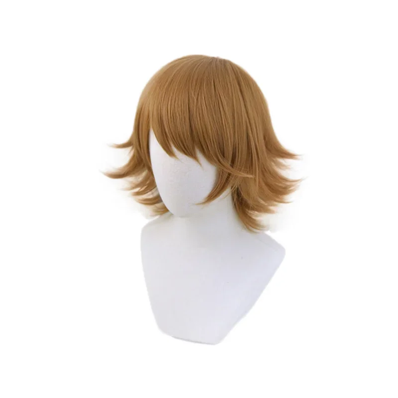 Danganronpa Chihiro Fujisaki wig cosplay costume Dangan Ronpa heat resistant synthetic hair men women short wigs