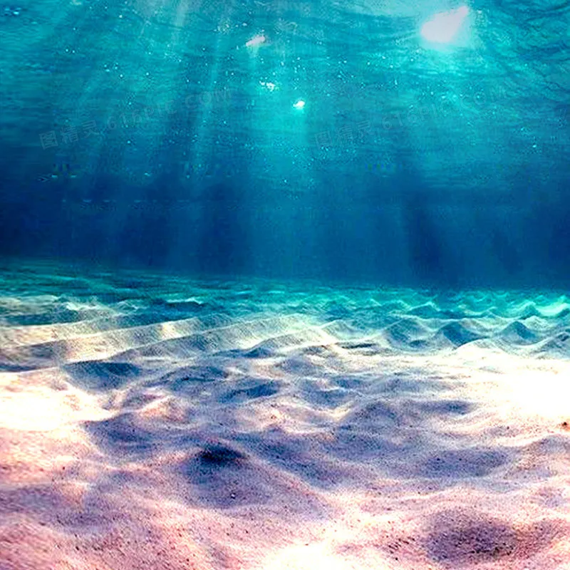 

Portable Heating Pad Type-C Charging Electric Menstrual Heating Pad Timing Heating Massage Waist Protector Essentials for Girls