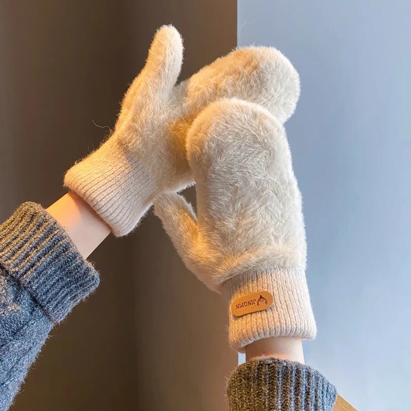 Cute Winter Thicken Warmer Women Gloves Plush Full Finger Mittens Warm Soft Fingerless Gloves for Cold Weather