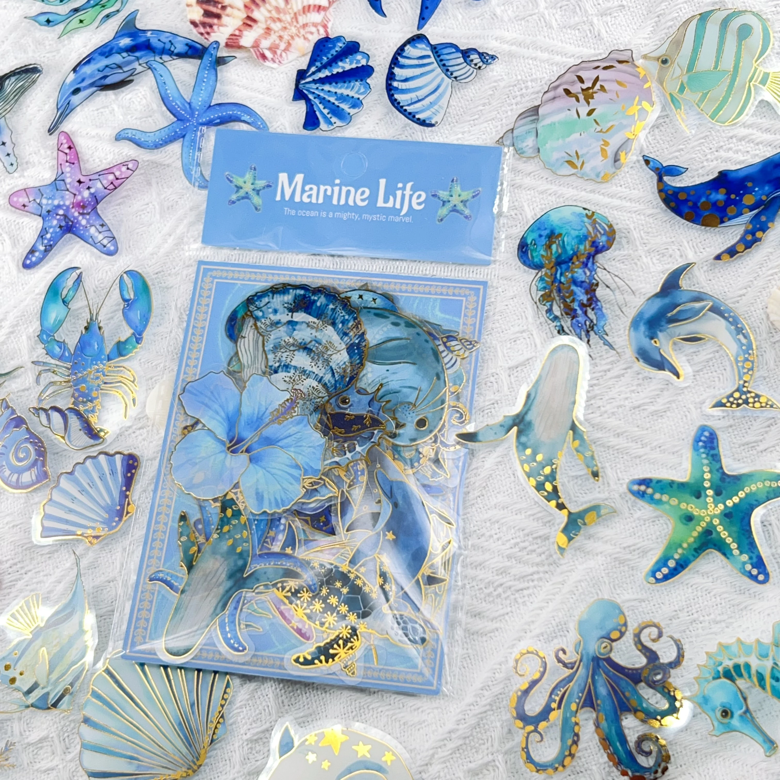 50/100 pçs transparente pet conjunto de adesivos decorativos para organismos marinhos diy portátil saco copo água carimbo quente adesivos decorativos