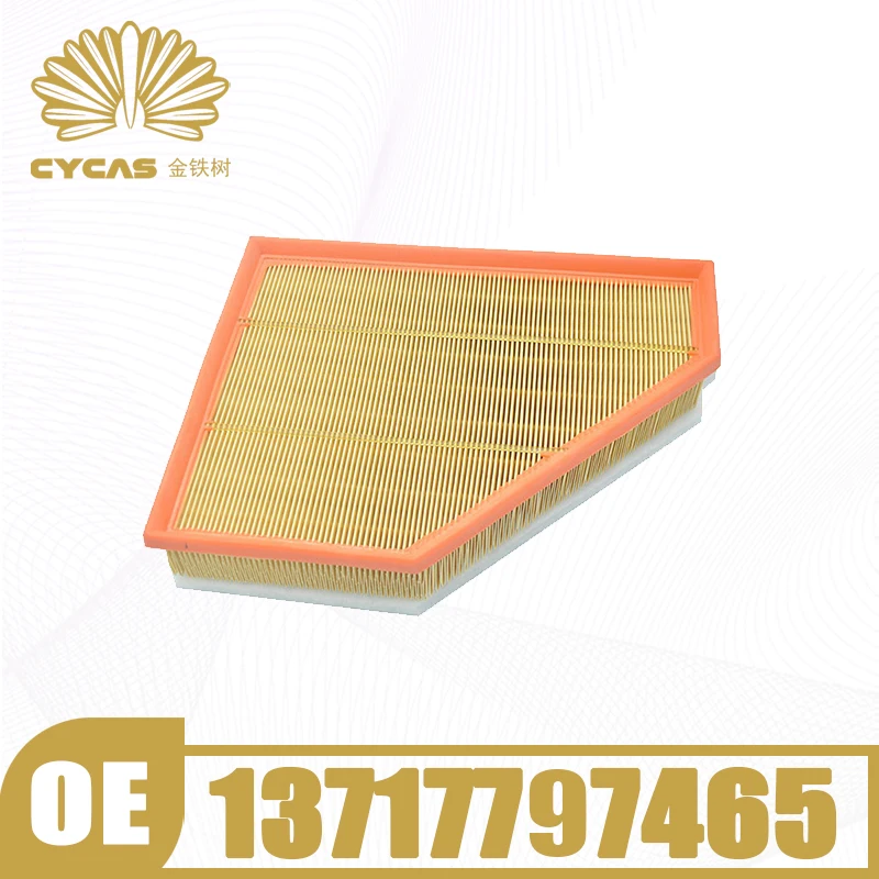 

CYCAS Air Filter #13717797465 For BMW 1 3 Series Alpina D3 E81 E82 E87 E88 E90 E91 E92 E93 X1 E84 316d 318d 320d 325d 330d 335d