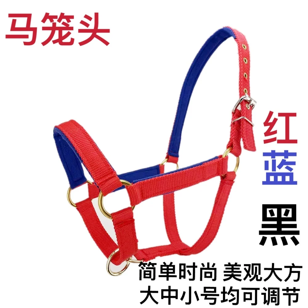 Horse Bridle Color Lead Horse Training Bridle Size Pony Faucet Bit Fine Equestrian Traction Rope Supplies