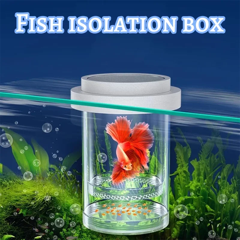Fish Fry Isolation …