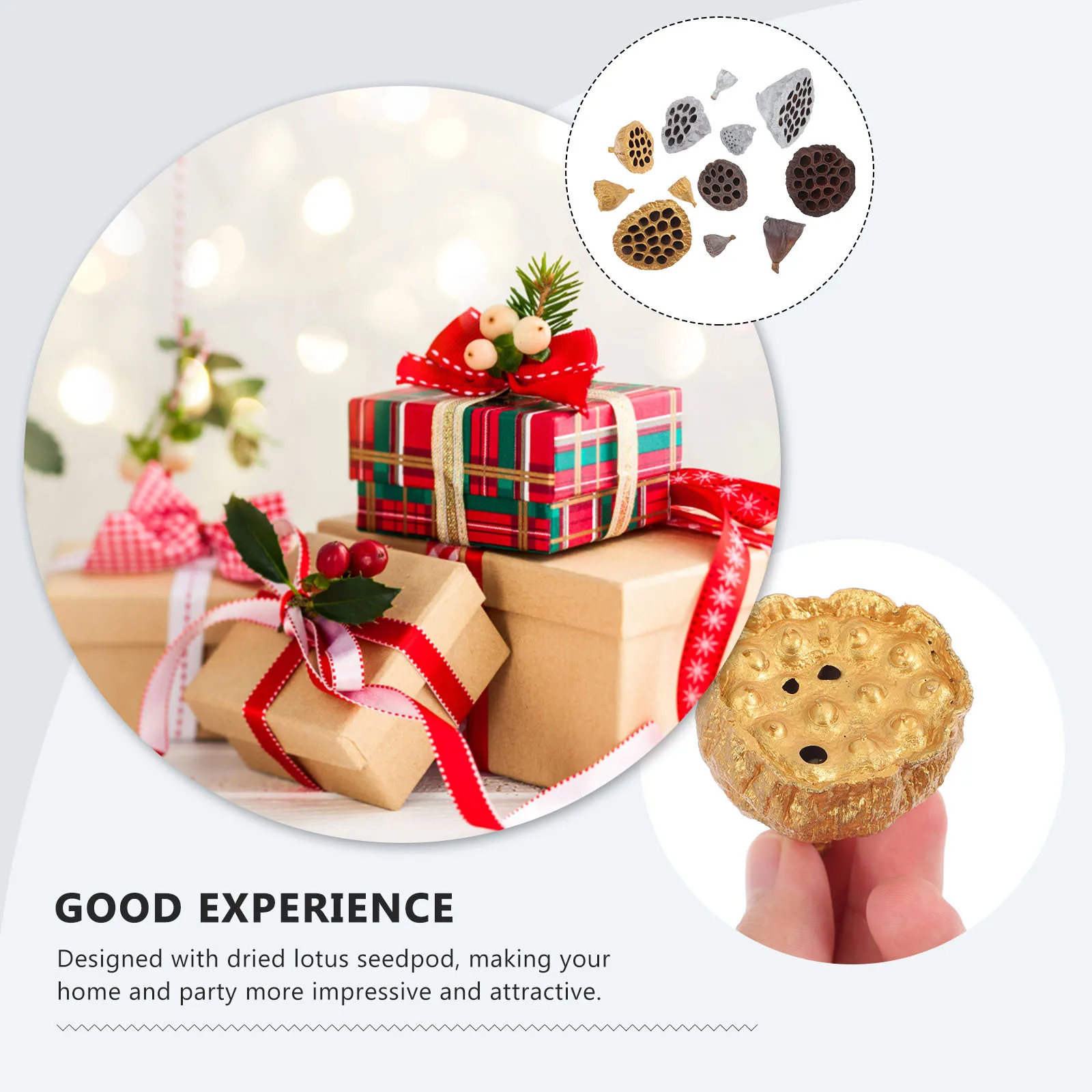 

12Pcs Natural Dried Lotus Seedpods Decoration Festival Table Craft Home Adornment Home Decor Creative Adornment