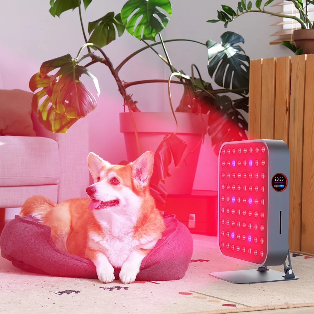 Customized 7 Wavelengths Red Light Therapy Panel  Full Body  NIR Green Blue LED Device for Muscle Joint Pain Relief