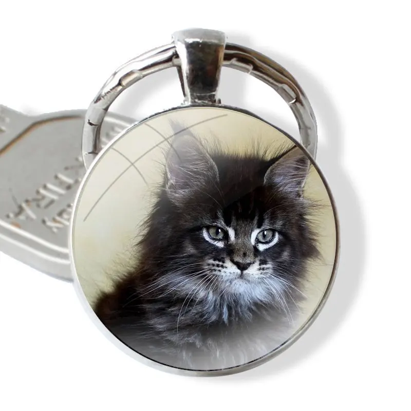 Glass Metal Pendant Key Chain Classic Men Women Key Ring Accessories Jewelry Gifts pet maine coon cat