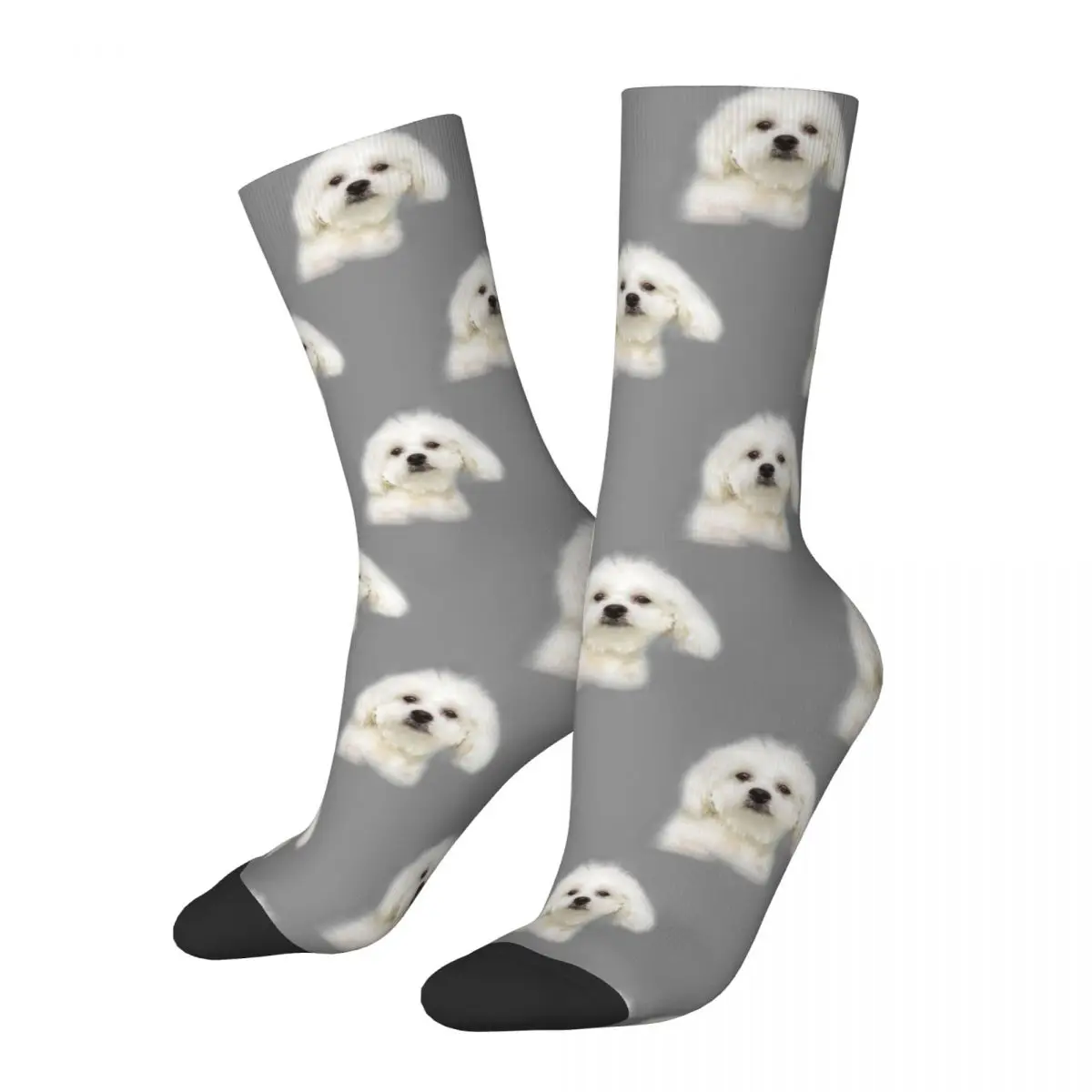 

Cool Bichon Frise White Puppy Basketball Socks Dog Polyester Middle Tube Socks for Unisex