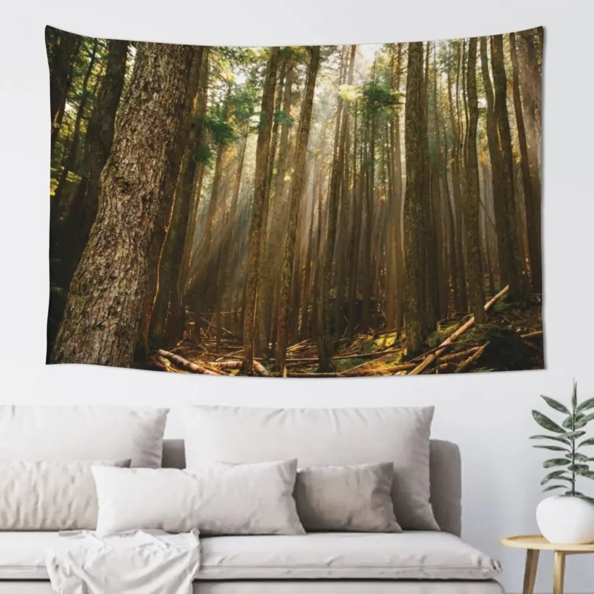 Sunlight Through Smoke Tapestry Room Decoration Aesthetic Wall Carpet Bedrooms Decor Tapestry