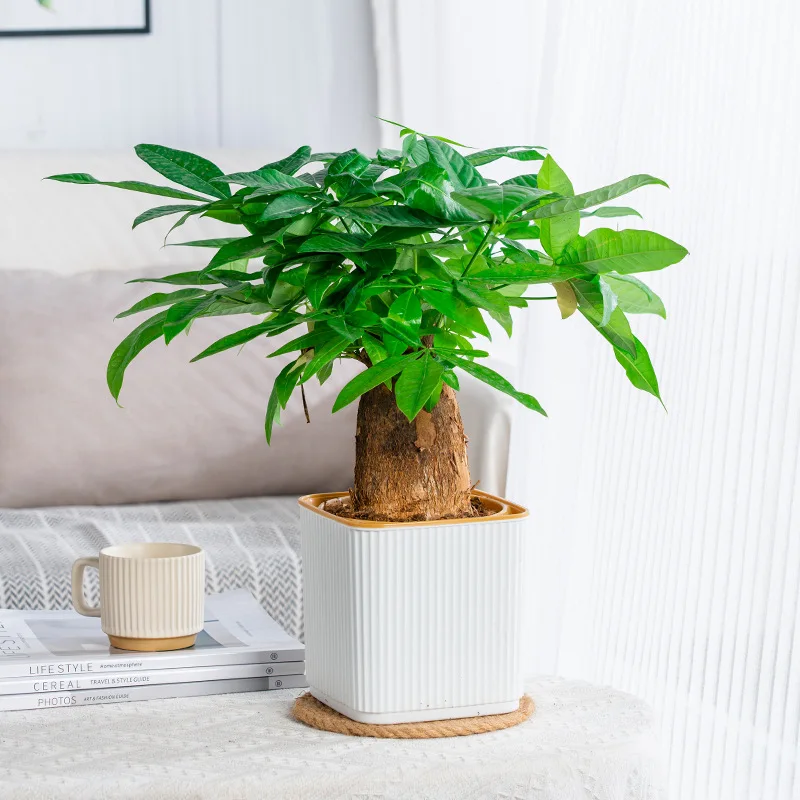 الشمال نمط عمودي شريط مربع الذاتي سقي كسول زارع البلاستيك الراتنج سميكة داخلي شرفة وعاء النباتات الخضراء