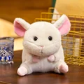 MOUSE