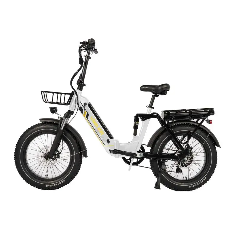 

ЕС, США, популярный Ebike Beach Cruiser, электрический велосипед, 48 В, 16 Ач, литиевая батарея, горный электрический горный велосипед, полная подвеска