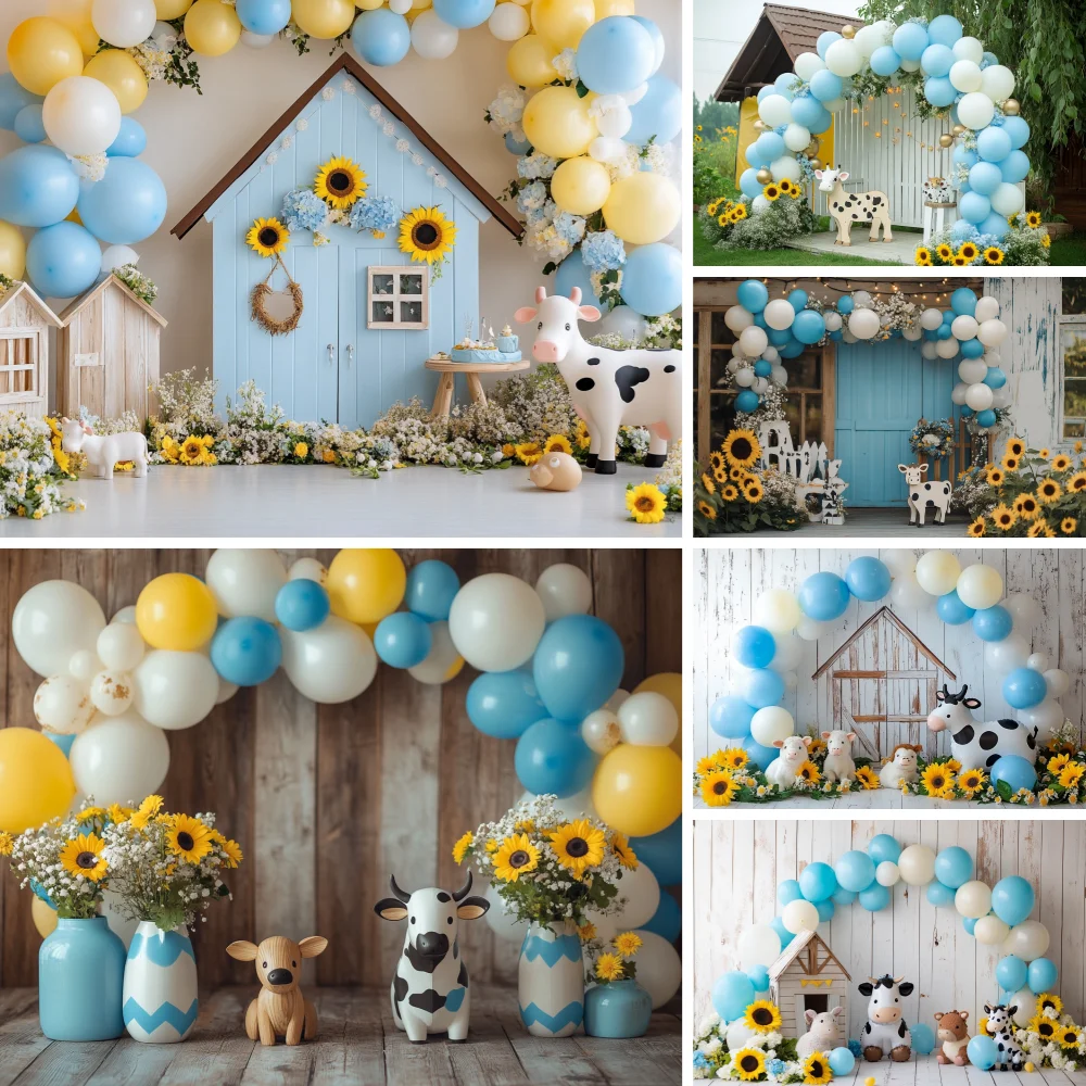 

Photography Backdrop Balloons Home Shooting Party Decorations Princess Wedding Birthday Photo Backgrounds Studio Banner