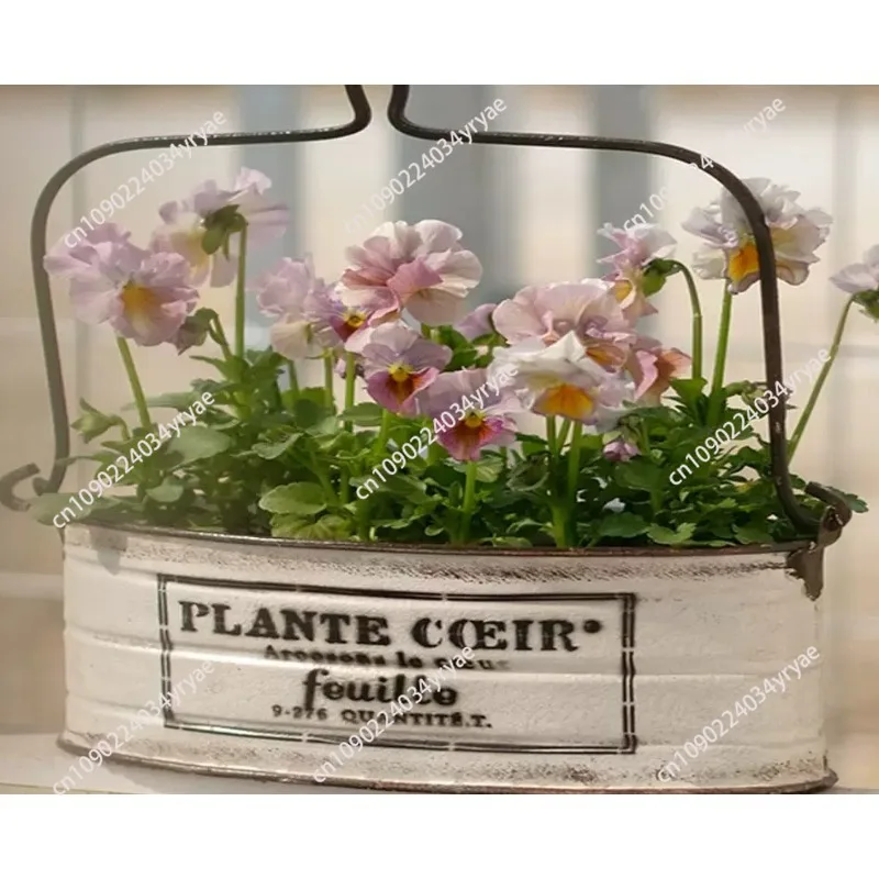 

Vintage Do Old Flower Pot Iron Wall-Mounted Hanging Basket Balcony & Garden Bonsai Planter Decorative Plant Container for Indoor