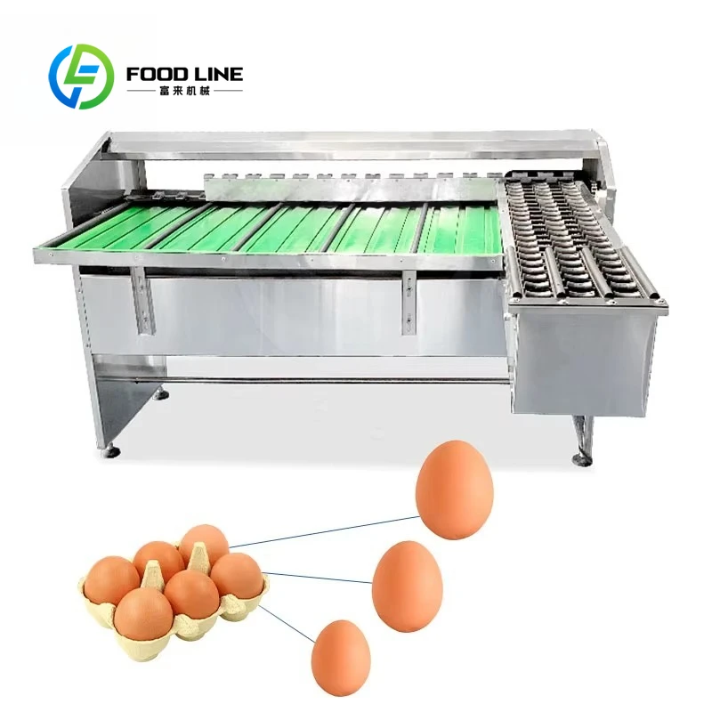 Small Automatic Egg Scale Classifier Duck and Chicken Classification Egg Machine