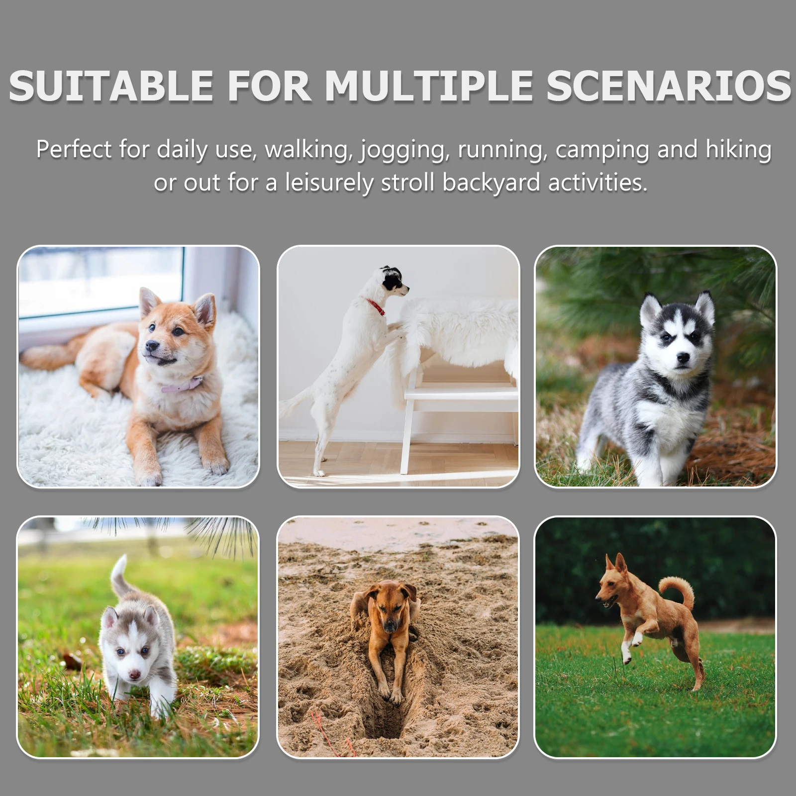 

Tricephalous Dog Walking Leads Heavy Duty Nylon Climbing Rope Black for Small Medium Dogs Outdoor Training Walking Lead