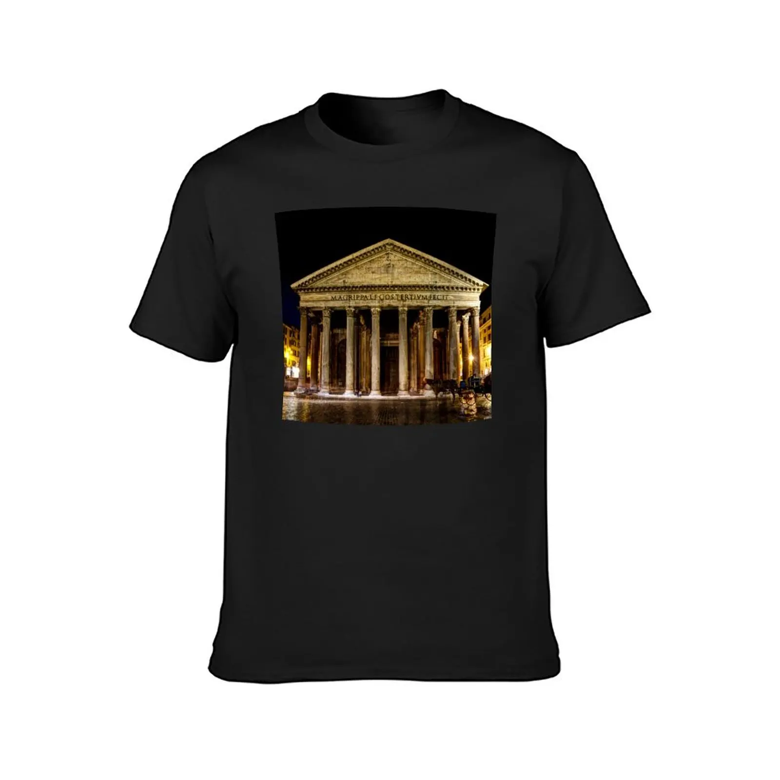 Pantheon Rome T-Shirt animal prinfor boys plus size tops tees aesthetic clothes t shirt men