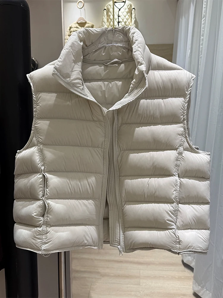 

Faionable Trendy Long Sve Stand Collar Slimming Cotton Jaet Women's Svel Design Winter New Arrival Ele Commu...