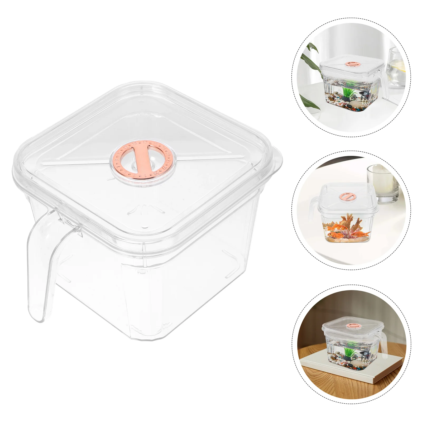 

Transparent Shatterproof Fish Tank Bowl Tanktops Bowls Mini Plastic Small Decorate Square Unique