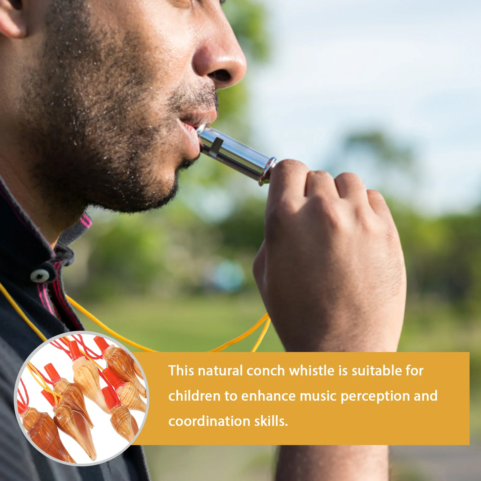 10 шт. натуральные ракушки-свистки, музыкальные инструменты