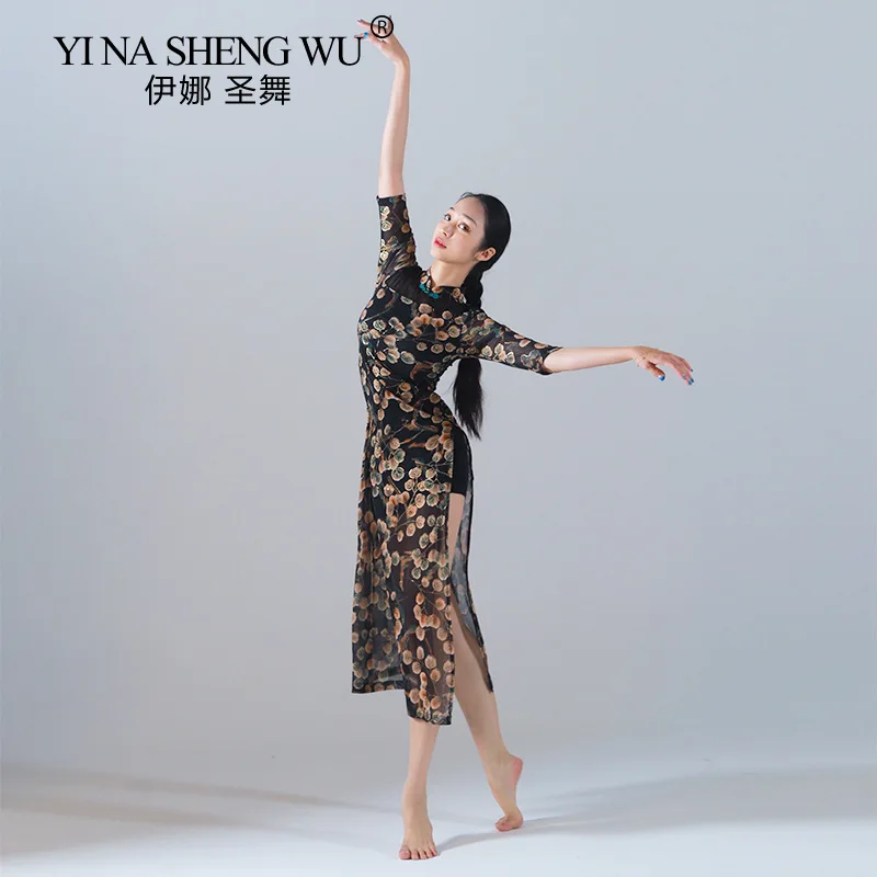 New Plum-printed Cheongsam-style Long Dress Performance Clothes Classical Dance Dance Clothes High Fork Lace Practice Clothes