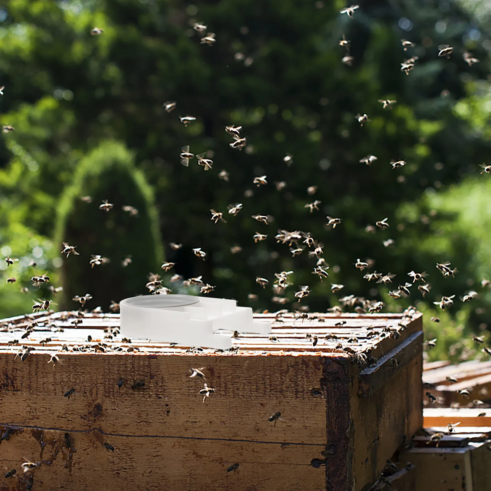 

Пластиковая металлическая поилка для пчел на входе в улей, профессиональное устройство для поения пчел для пасек, садов, инструмент для пчеловодства