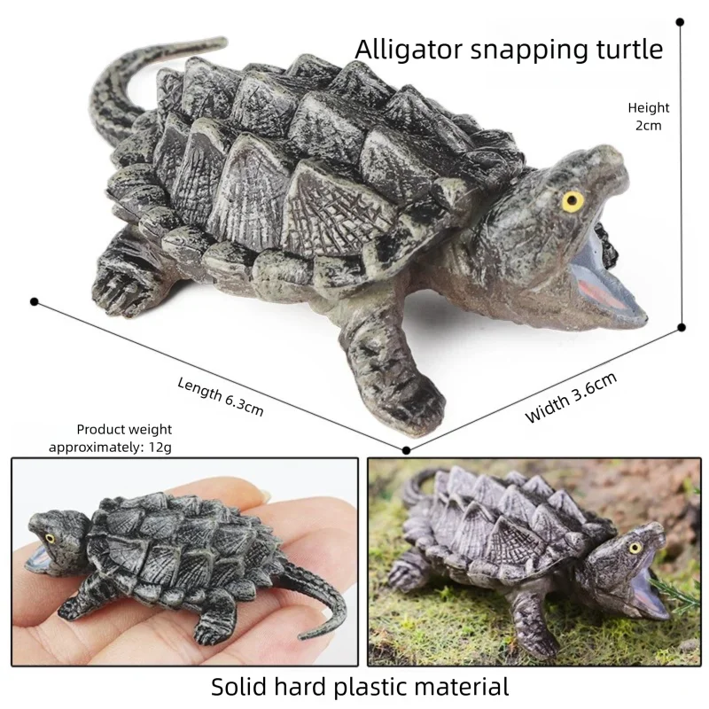 Oenux Simulations-Schildkröten-Set: Alligator, Galapagos-Schildkröte, Chinesische Weichschildkröte Figuren und Puppen – Detail 28