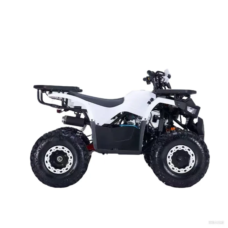 

High Carbon Steel Chain Drive Transmission Off-Road All Terrain Vehicle Youth All Terrain Vehicle Adult Quad Motorcycle