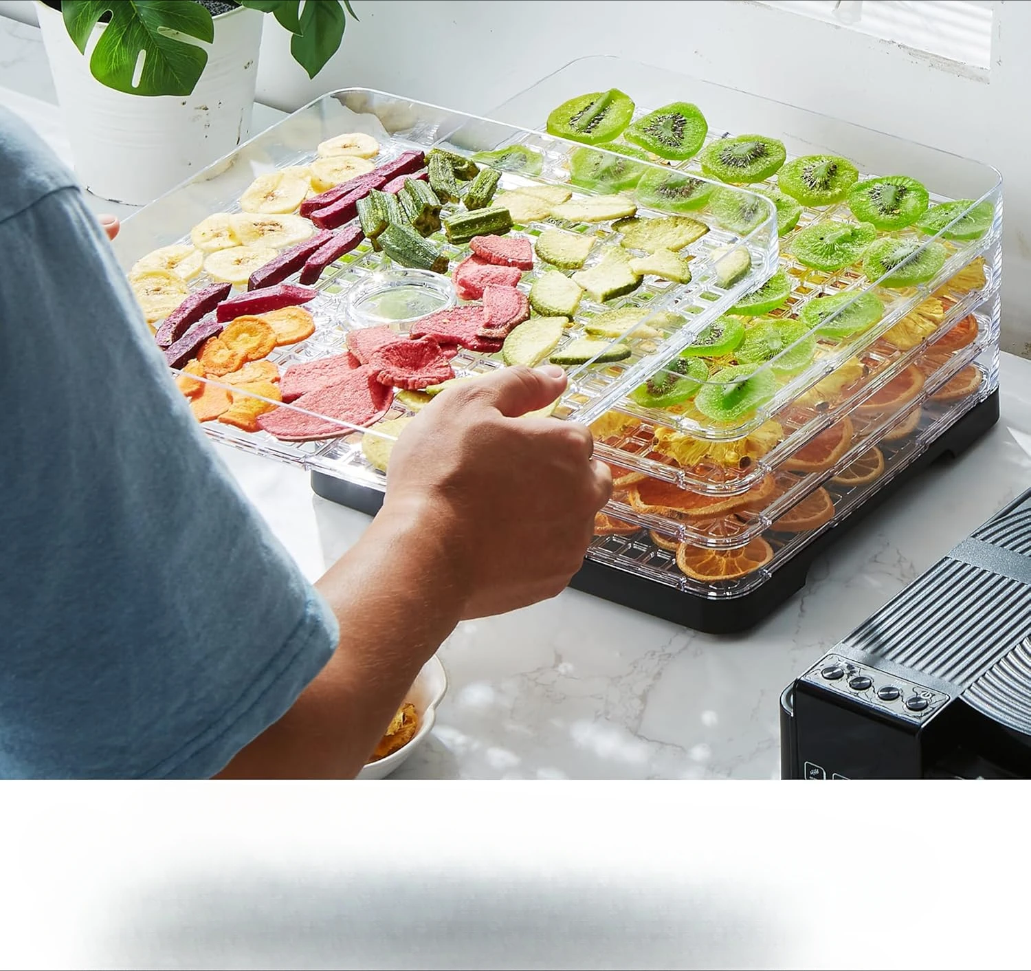 Adjustable Temperature Controls, Jerky Herbs Fruit Veggies Snacks