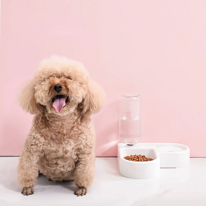

2 in 1 automatic drinking water feeding pet bowl moisture-proof cat bowl dog bowl dual-purpose drinking water dog feeder