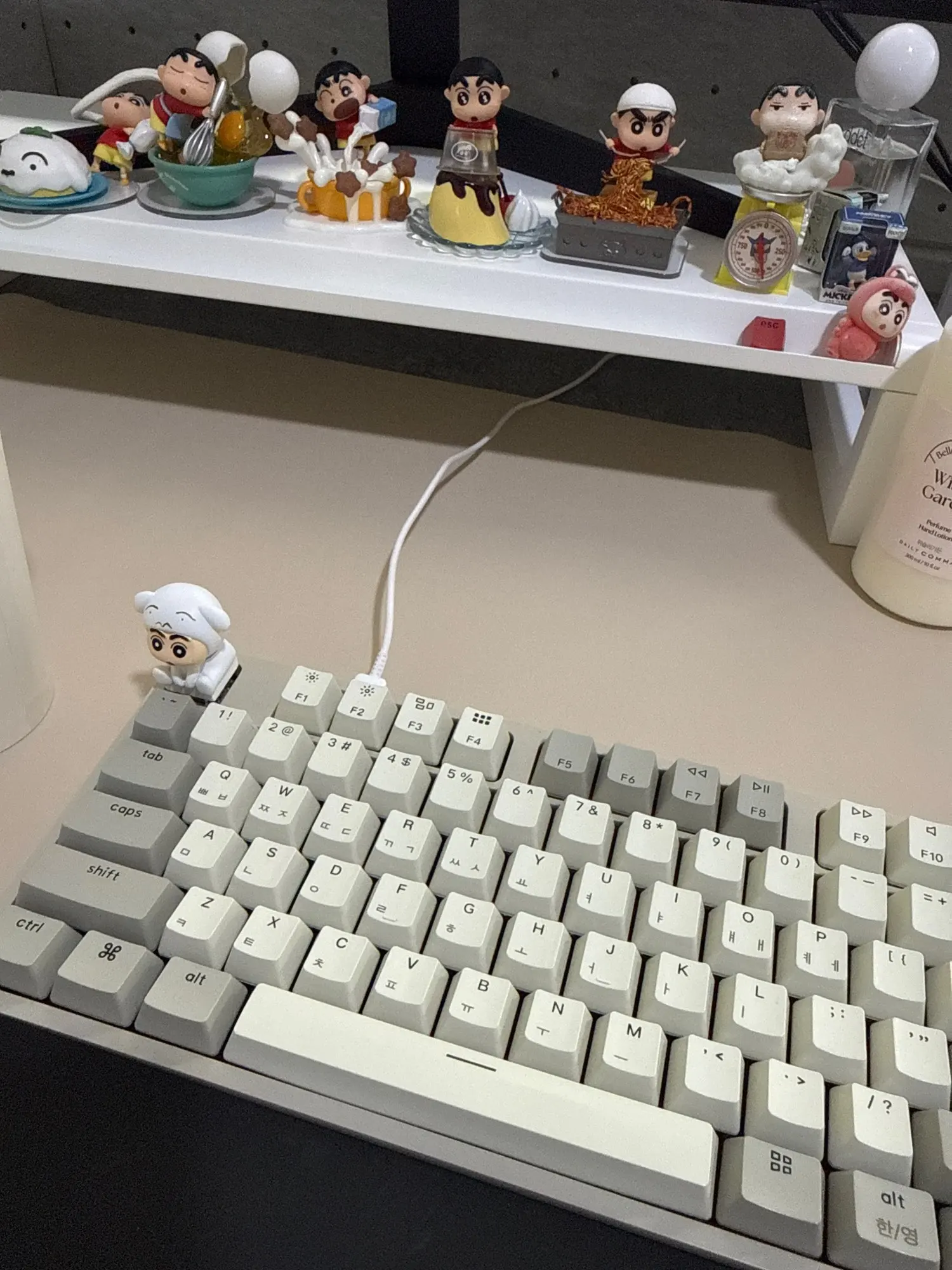 실물 포토 리뷰