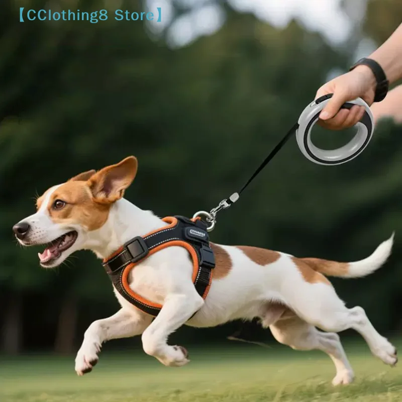 Thumbnail 4 - #20 Trending Retractable Puppy Leads Right Now