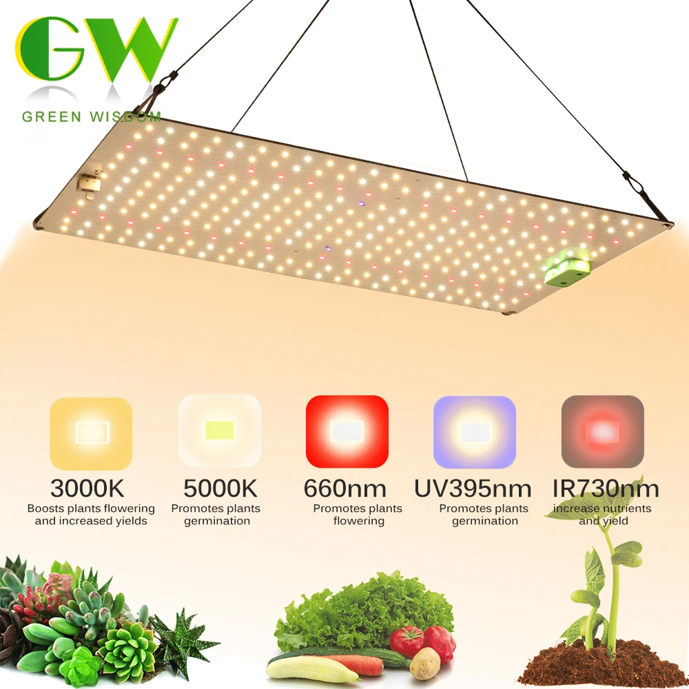 LED Grow Light Dimmable SM LM281b+ Diodes Full Spectrum Phyto Lamp With UV RED For Indoor Plants Veg and Bloom Growing Lamp