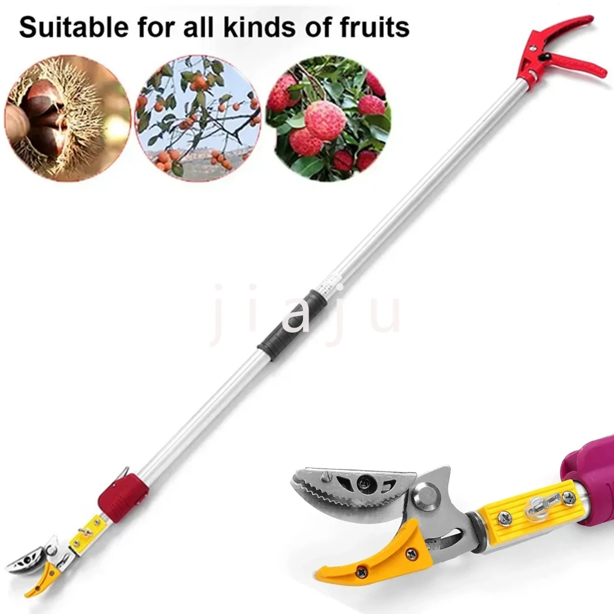 

2.2m Max Cutting Branch Cuttter Fruit Picker 1/2 inch Extra Long Reach Pruner Cut and Hold Bypass Pruner Tree Cutter For Garden