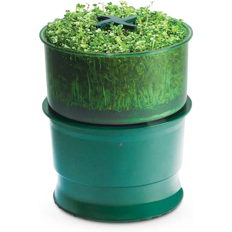 

HAOYUNMA Automatic Seed Sprouter For Sprouting Seeds