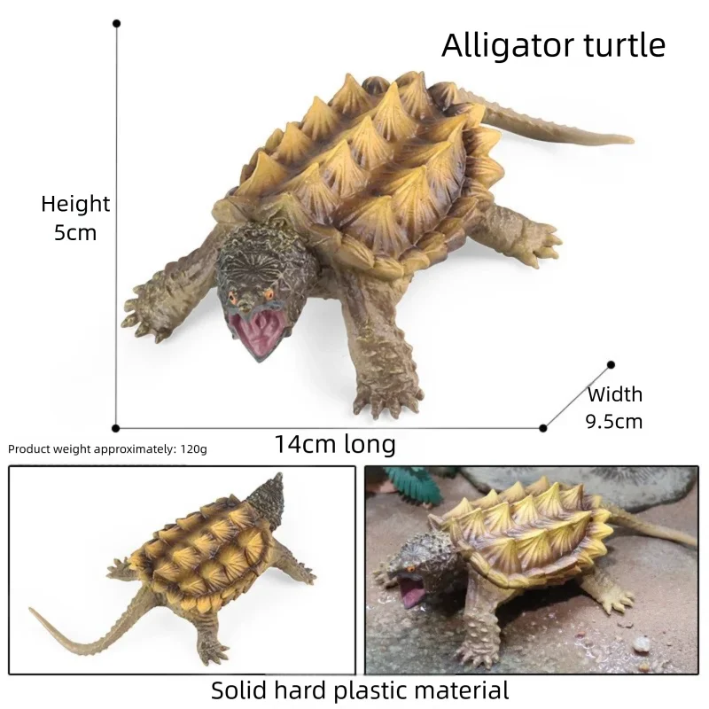 Oenux Simulations-Schildkröten-Set: Alligator, Galapagos-Schildkröte, Chinesische Weichschildkröte Figuren und Puppen – Detail 14