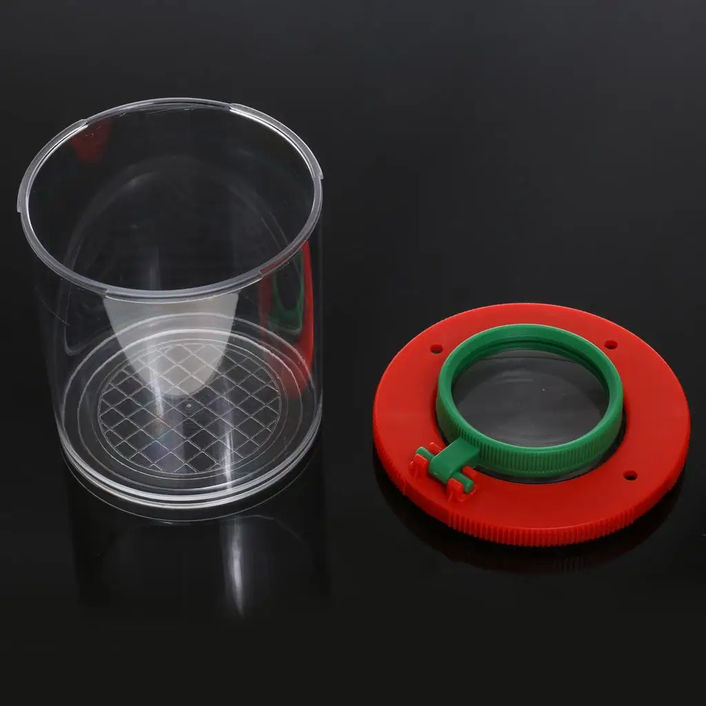 Magnifier Clear Plastic Bug Viewer Observation Box for Children Nature Hunting Kit